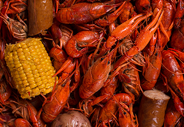 crawfish closeup
